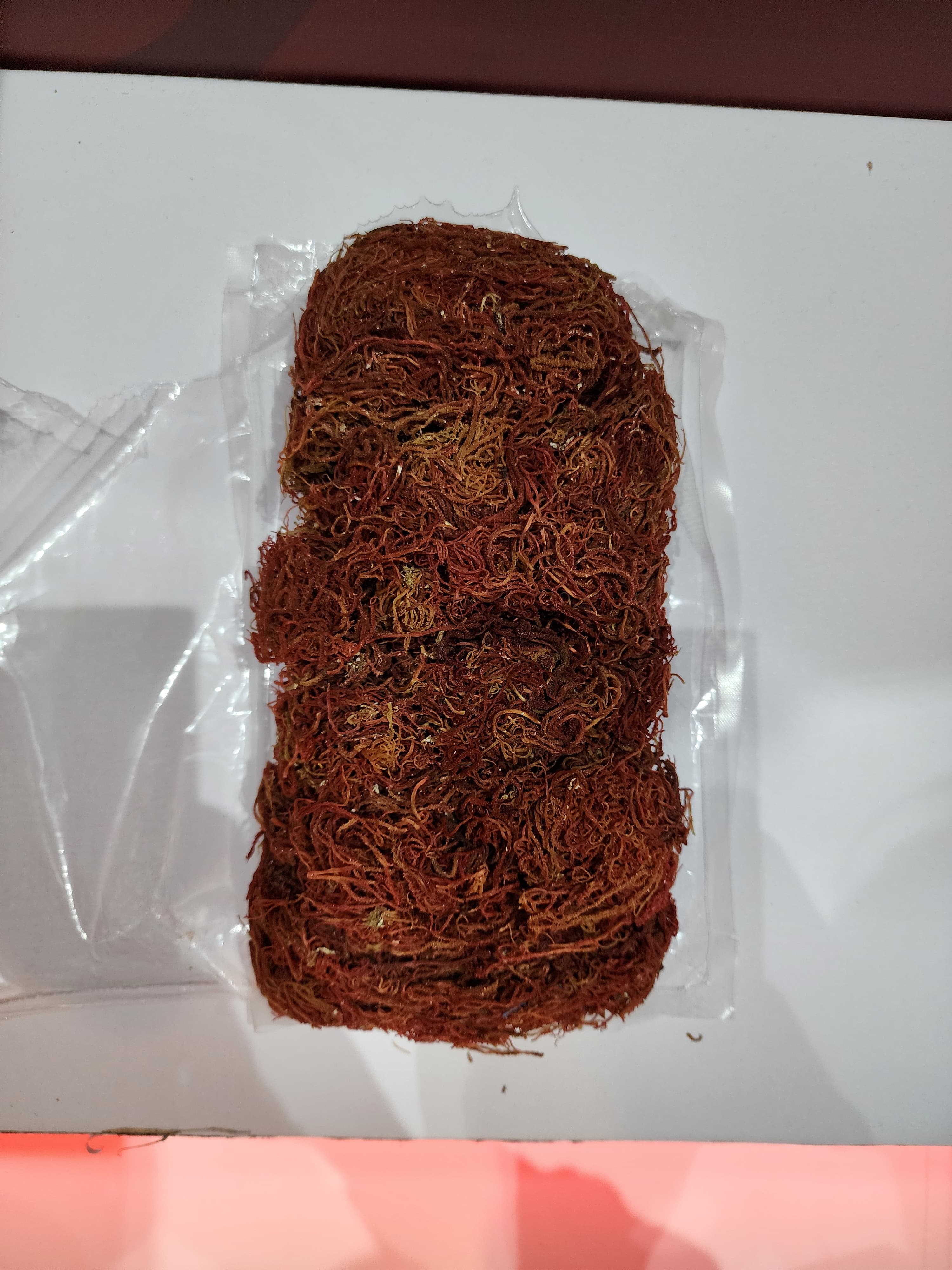 Analyzed Seaweed Image